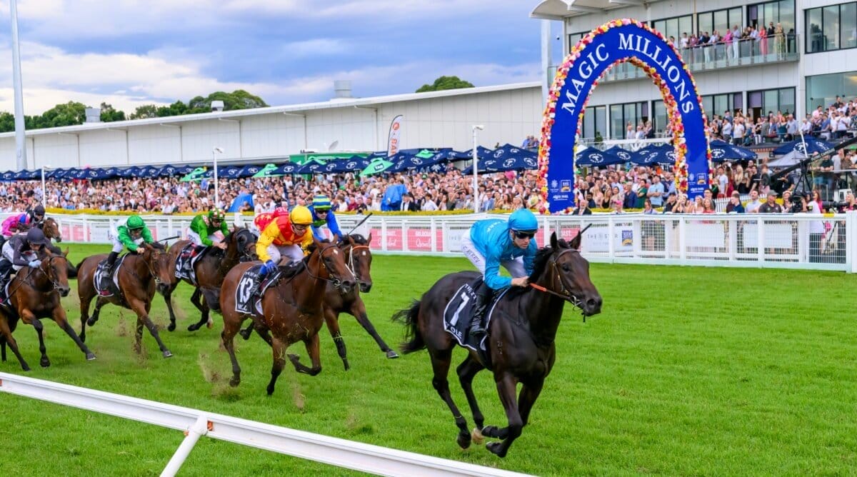 Magic Millions Experience