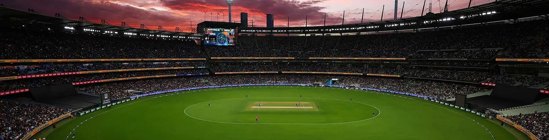 Cricket Sport Creative